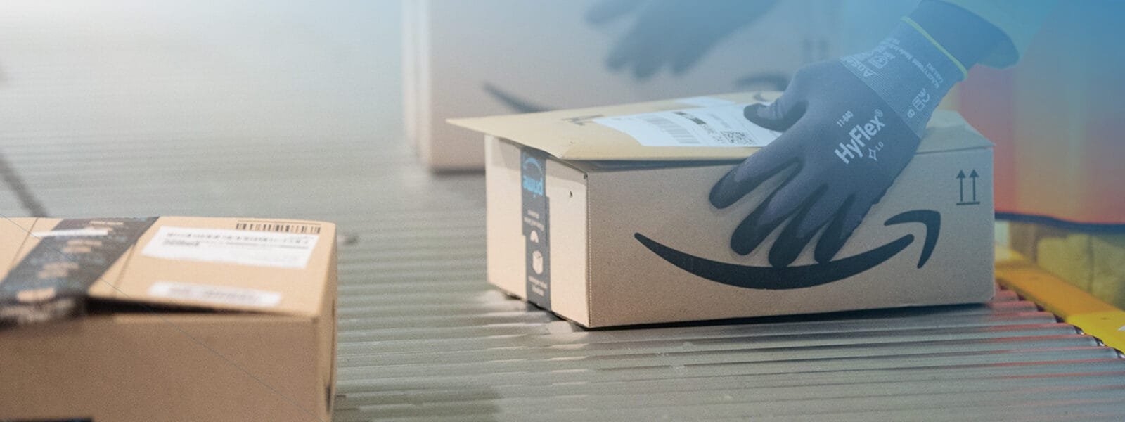 wanis-amazon-online-sales-food-distributor