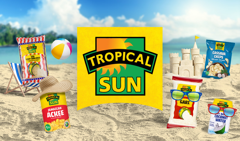 tropical sun logo banner